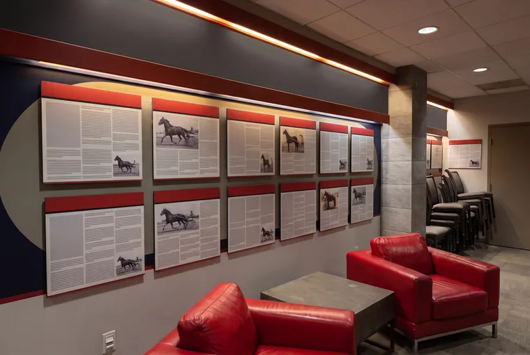 Hall of Fame wall with red armchairs at Red Shores