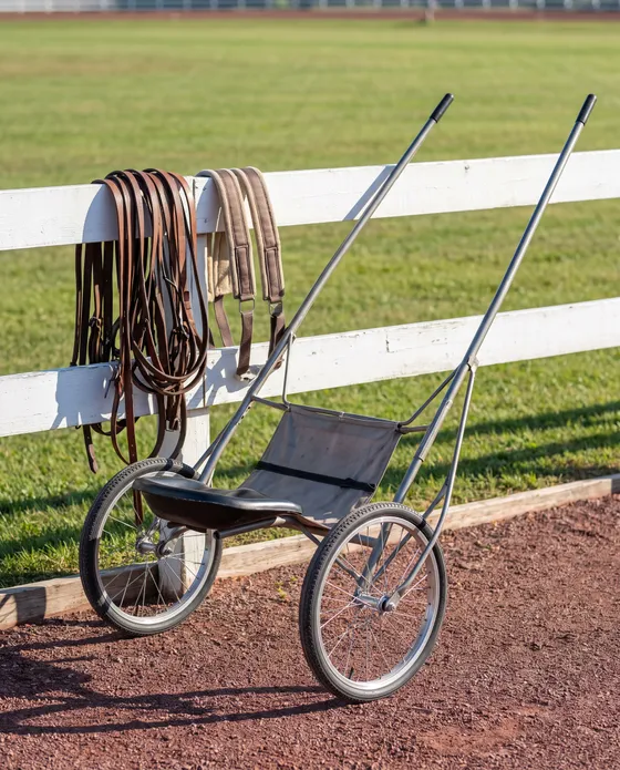 Racing sulky by a white rail, harness hung on the rail